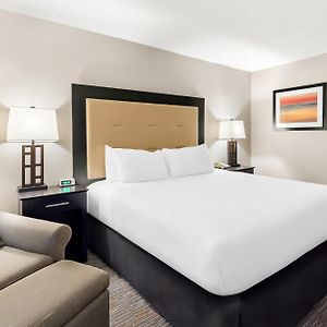 King Room Disability Access